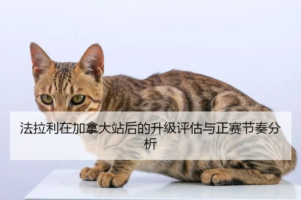 fa-la-li-zai-jia-na-da-zhan-hou-de-sheng-ji-ping-gu-yu-zheng-sai-jie-zou-fen-xi-2-931.jpg