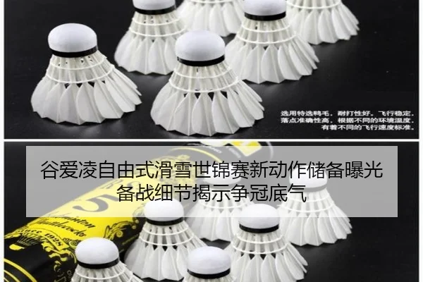 gu-ai-ling-zi-you-shi-hua-xue-shi-jin-sai-xin-dong-zuo-chu-bei-bao-guang-bei-zhan-xi-jie-jie-shi-zheng-guan-di-qi-2-349.jpg