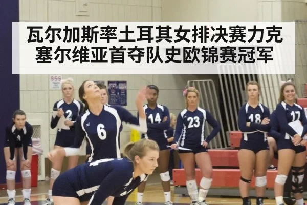瓦尔加斯率土耳其女排决赛力克塞尔维亚首夺队史欧锦赛冠军